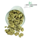 Mini Bud CBD Tutti Frutti