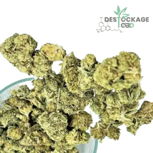 Mini Buds CBD BERRY