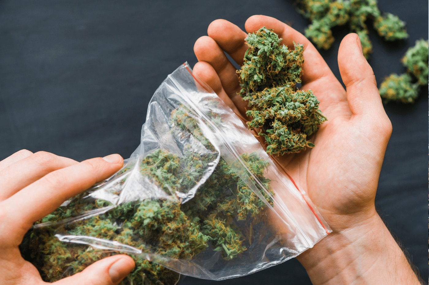 CBD au quotidien : Est-il sécuritaire de consommer du CBD 1 CBD au Quotidien : Est-il sécuritaire de consommer du CBD ?